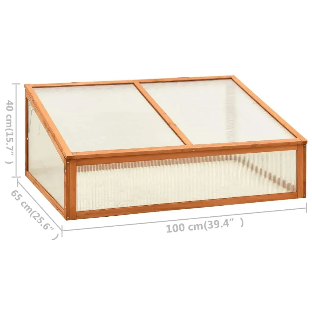 Greenhouse 100x65x40 cm Firwood 314850