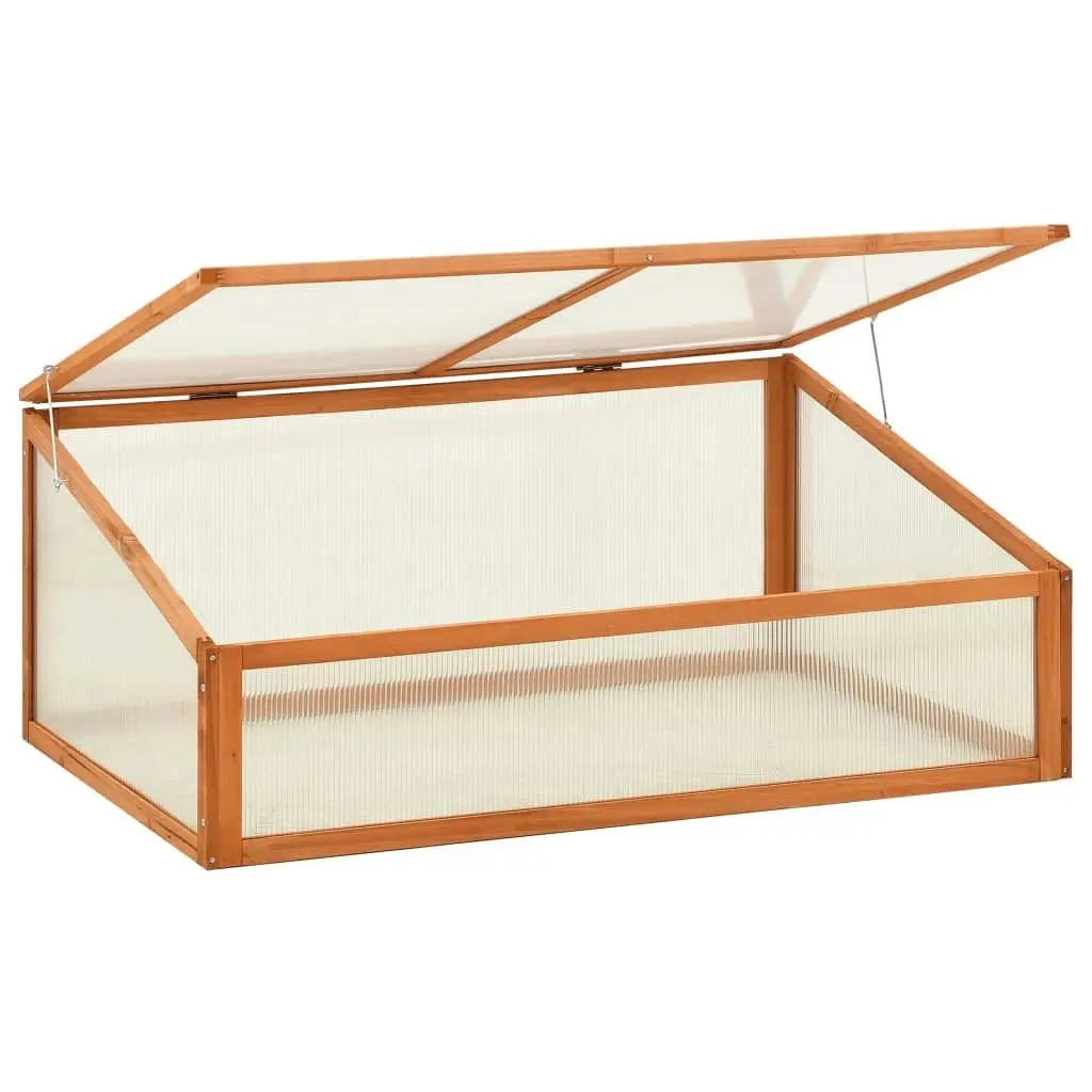 Greenhouse 100x65x40 cm Firwood 314850