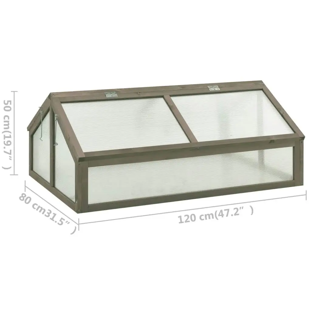 Greenhouse 120x80x50 cm Firwood 314853