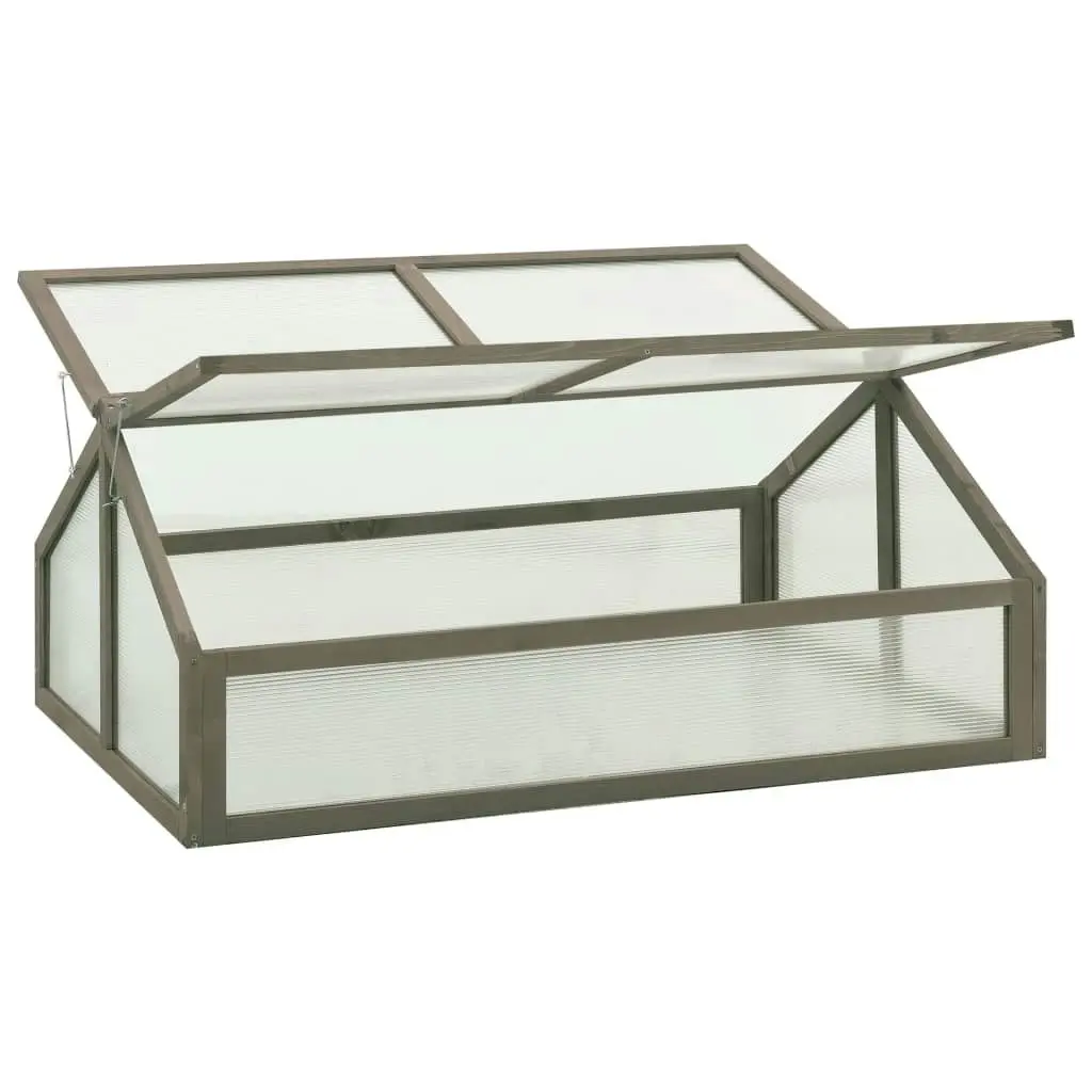 Greenhouse 120x80x50 cm Firwood 314853