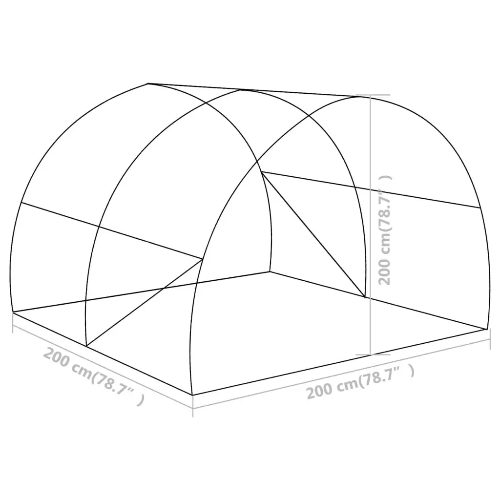 Greenhouse 4 mÂ² 2x2x2 m 48163