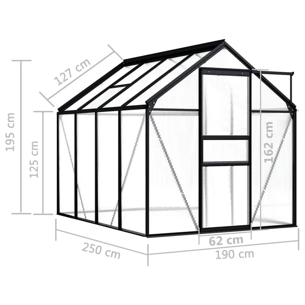 Greenhouse Anthracite Aluminium 4.75 mÂ² 48210