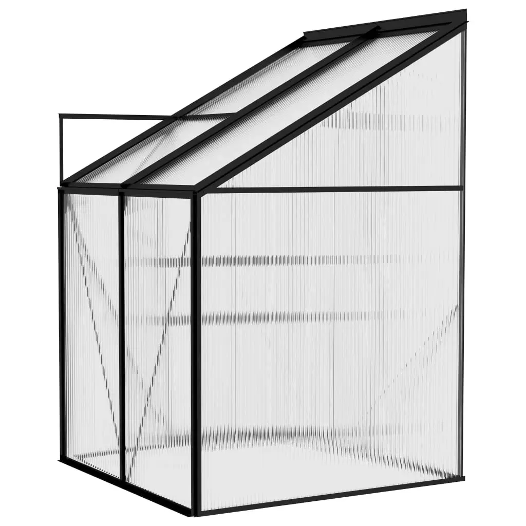 Greenhouse Anthracite Aluminium 2.59 mÂ³ 312044