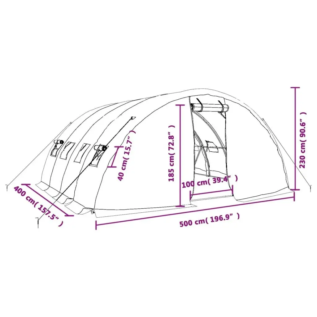 Greenhouse with Steel Frame Green 20 mÂ² 5x4x2.3 m 3188083