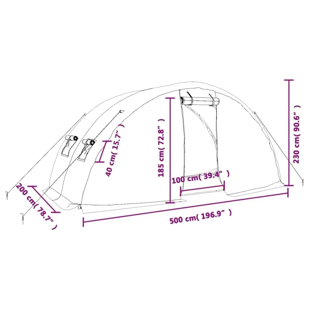 Greenhouse with Steel Frame White 10 mÂ² 5x2x2.3 m 364087