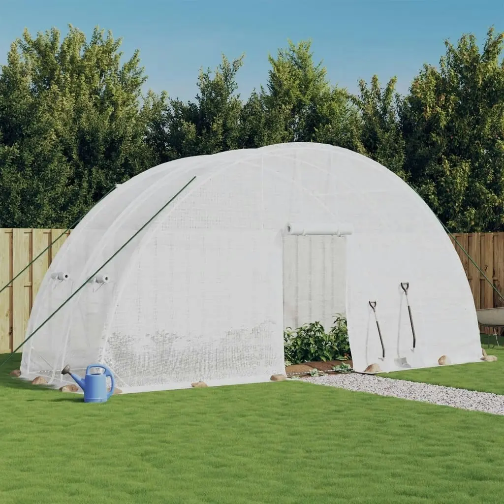 Greenhouse with Steel Frame White 12 mÂ² 6x2x2.85 m 364091