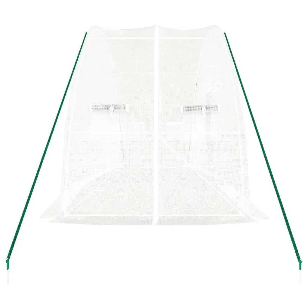 Greenhouse with Steel Frame White 12 mÂ² 6x2x2.85 m 364091