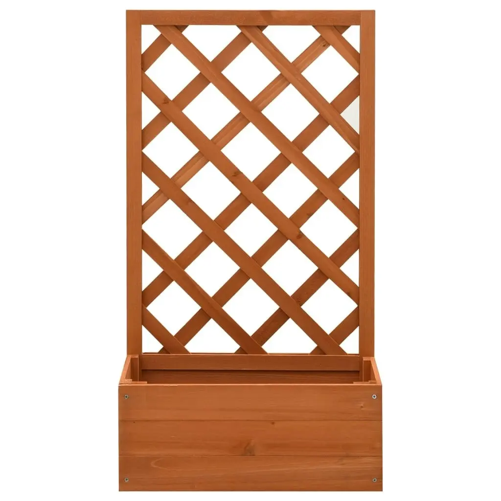 Garden Trellis Planter Orange 50x25x90 cm Solid Firwood 314830