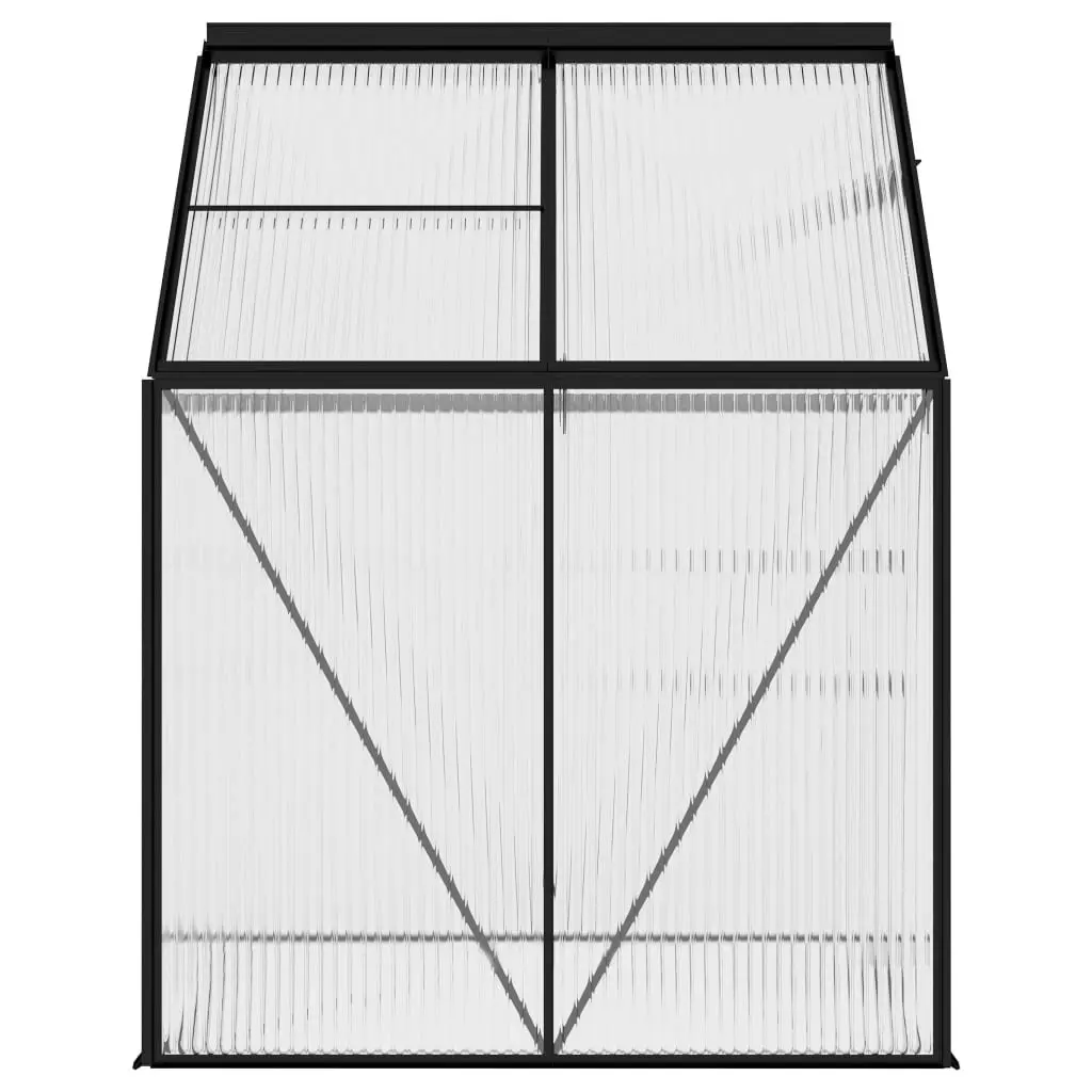 Greenhouse Anthracite Aluminium 2.47 mÂ² 312057