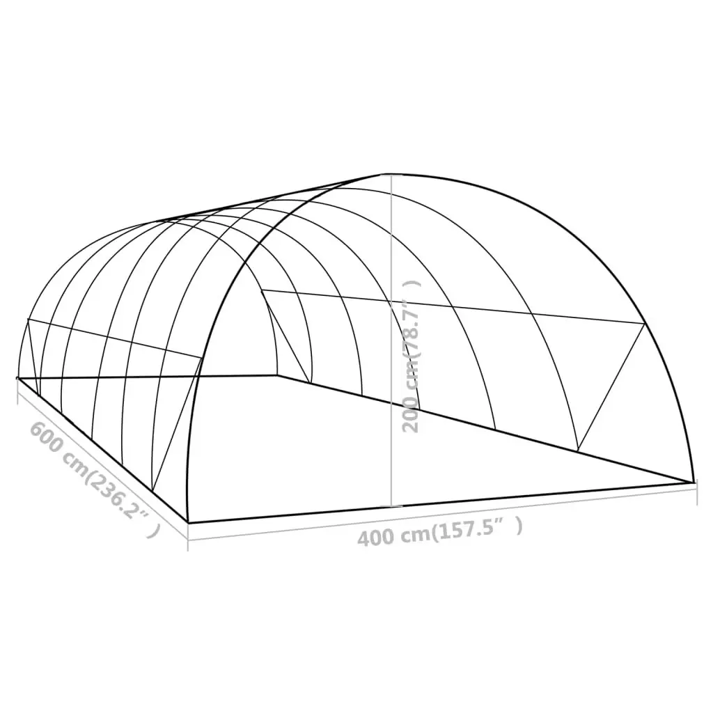 Greenhouse 24 mÂ² 6x4x2 m 48161