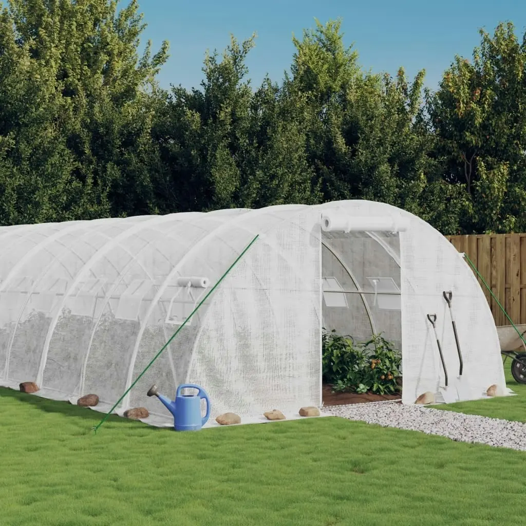 Greenhouse with Steel Frame White 24 mÂ² 6x4x2 m 3188073