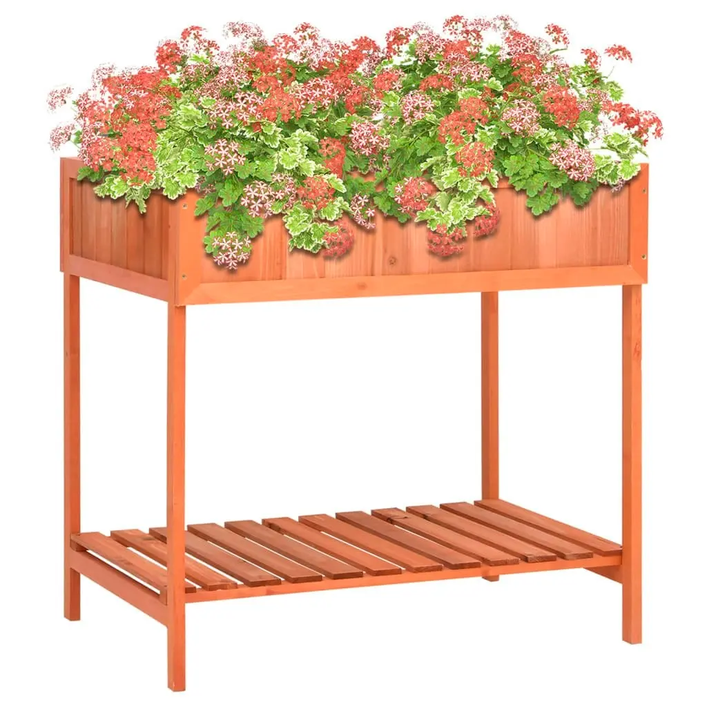 Herb Planter 80x60x80 cm Solid Firwood 170882