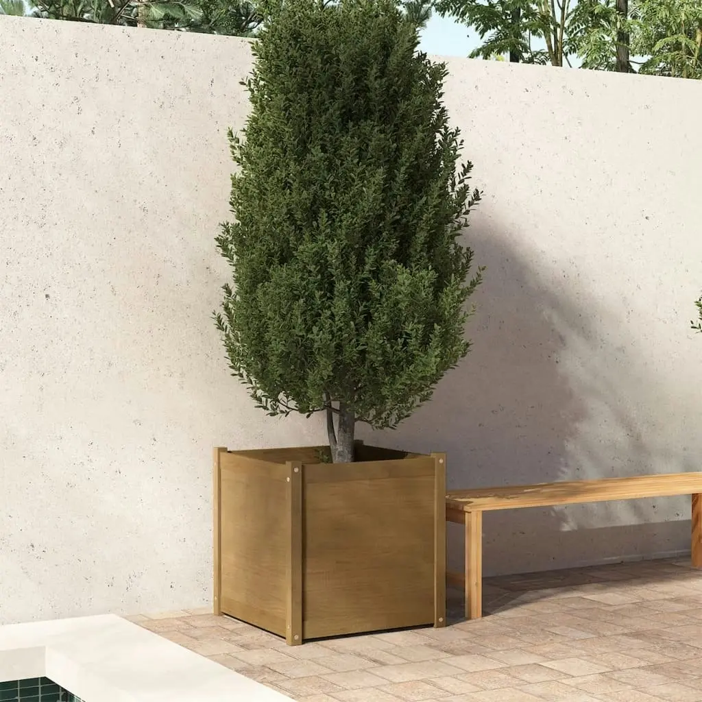 Garden Planter Honey Brown 60x60x60 cm Solid Pinewood 810564