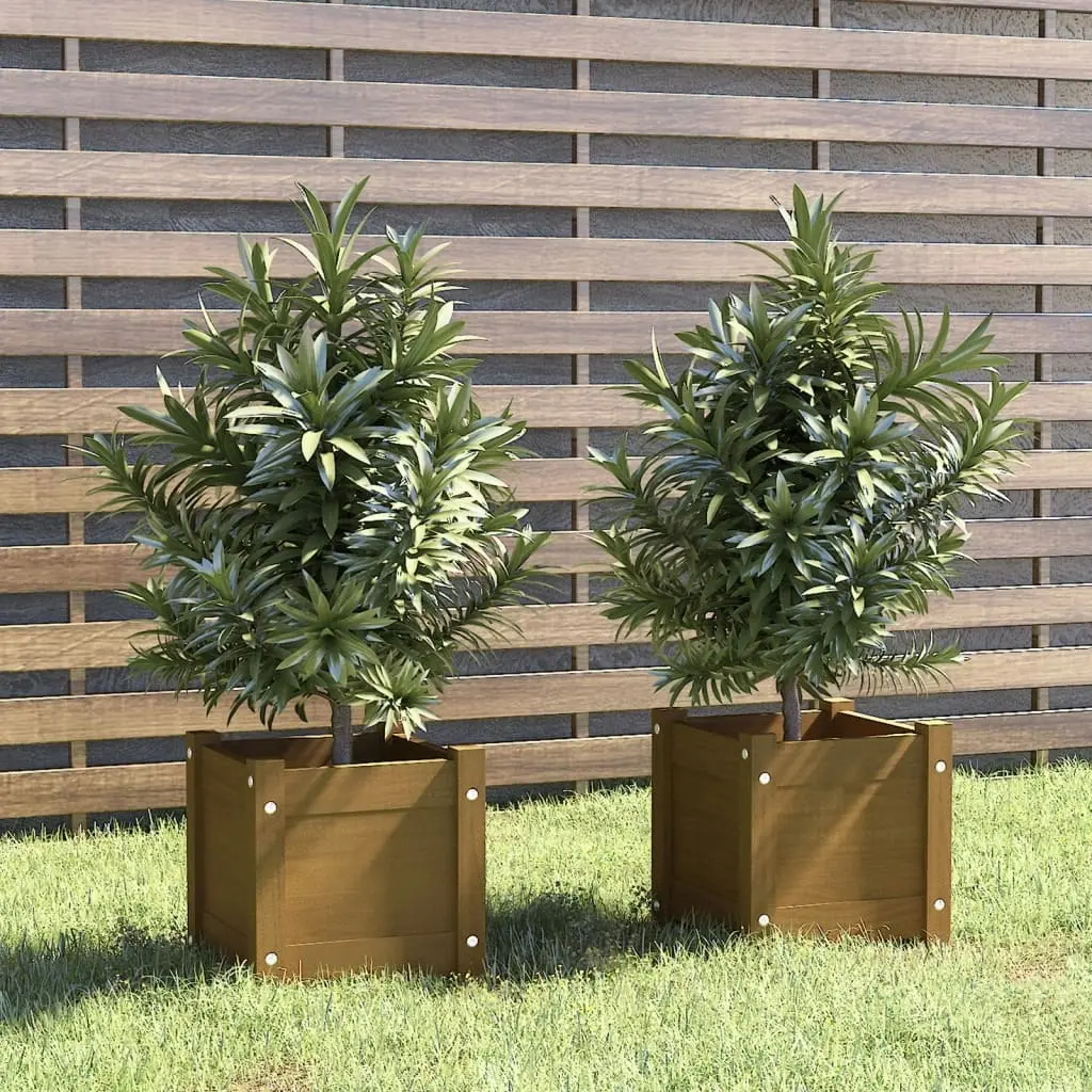 Garden Planters 2 pcs Honey Brown 31x31x31 cm Solid Pinewood 810529