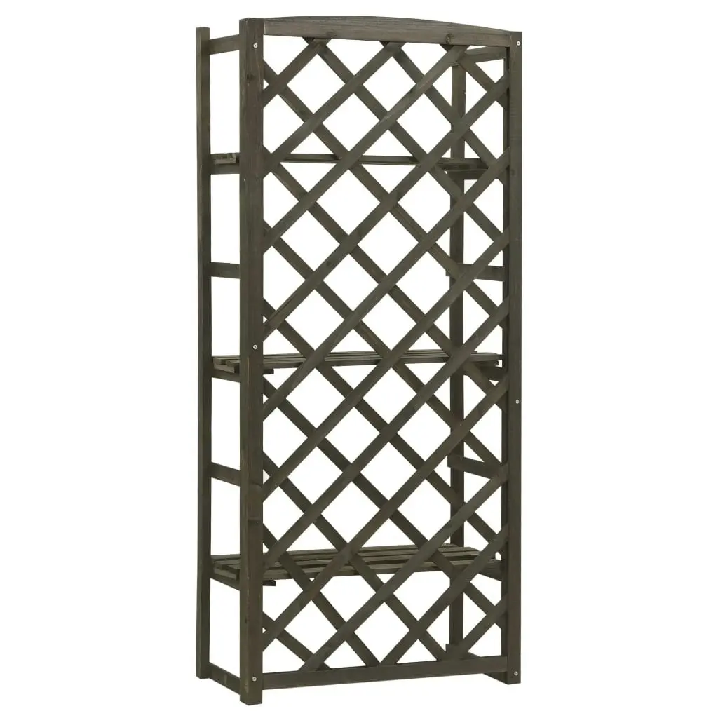 Plant Stand with Trellis Grey 60x30x140 cm Solid Firwood 314835