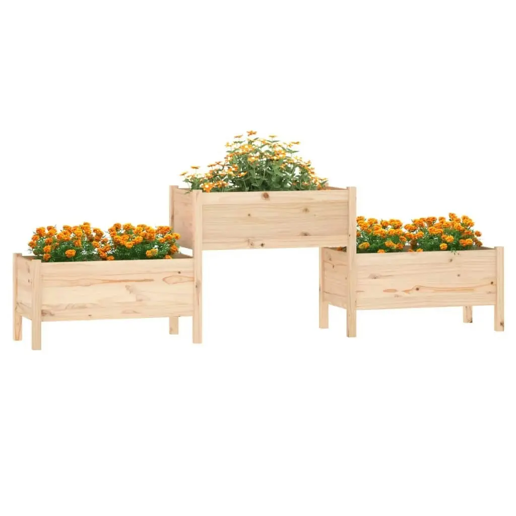 Planter 245.5x44x75 cm Solid Wood Pine 822252