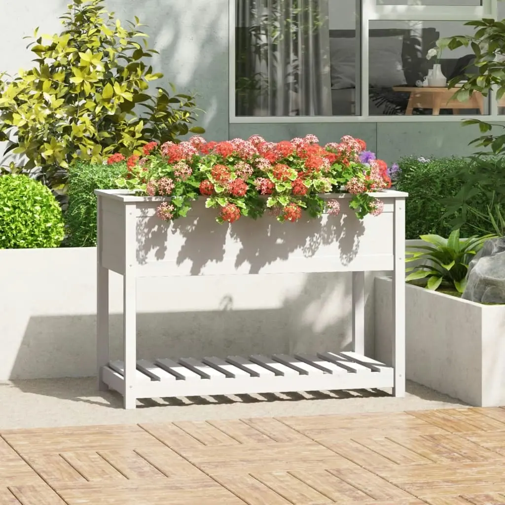 Planter with Shelf White 111.5x54x81 cm Solid Wood Pine 823788