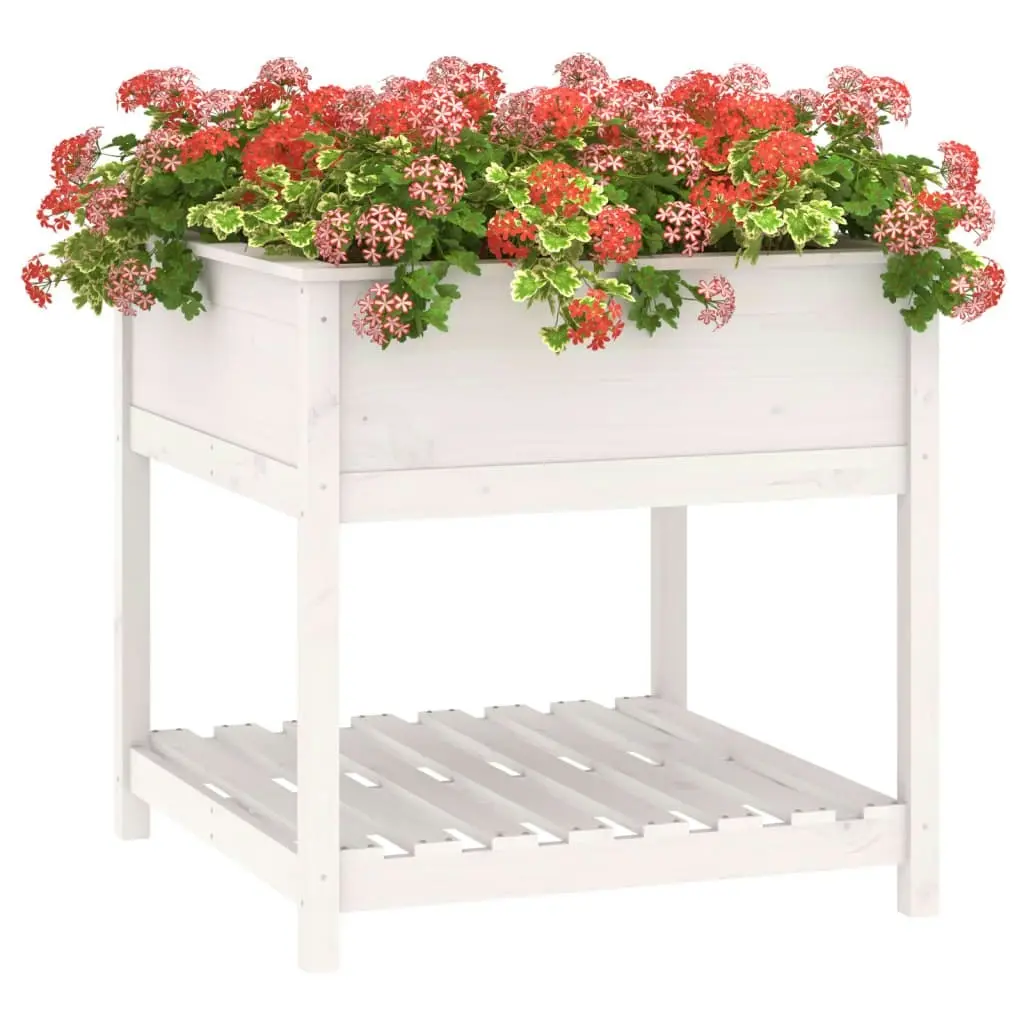 Planter with Shelf White 82.5x82.5x81 cm Solid Wood Pine 823795