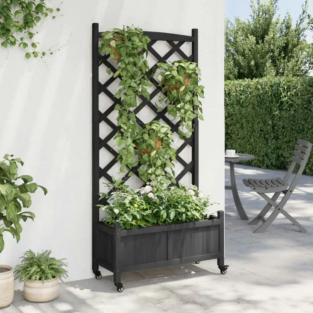 Planter with Trellis and Wheels Black Solid Wood Fir 3207652