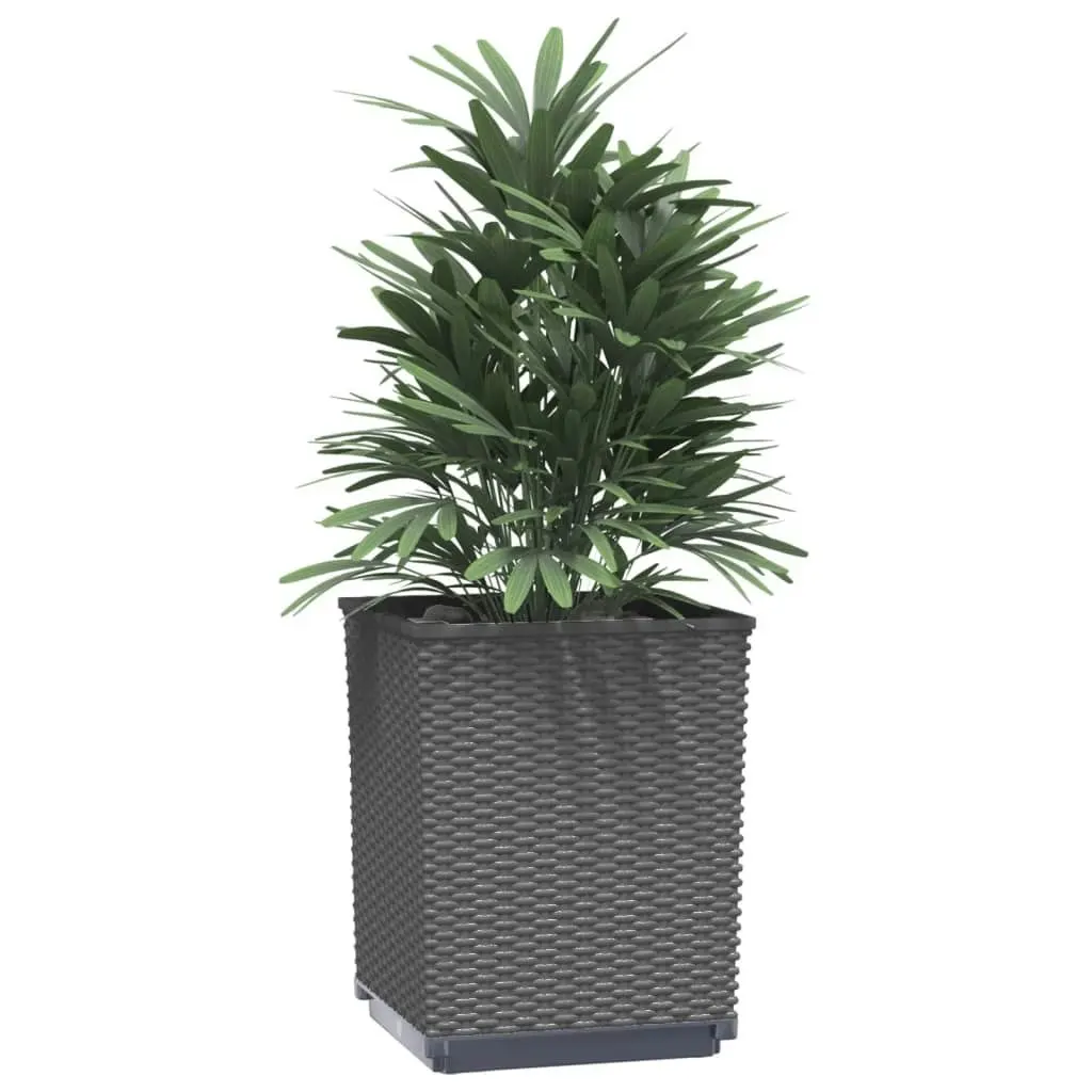 Planters 2 pcs Black 30x30x37 cm Polypropylene 364182