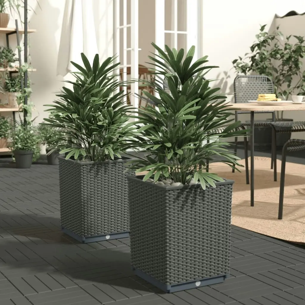 Planters 2 pcs Black 30x30x37 cm Polypropylene 364182