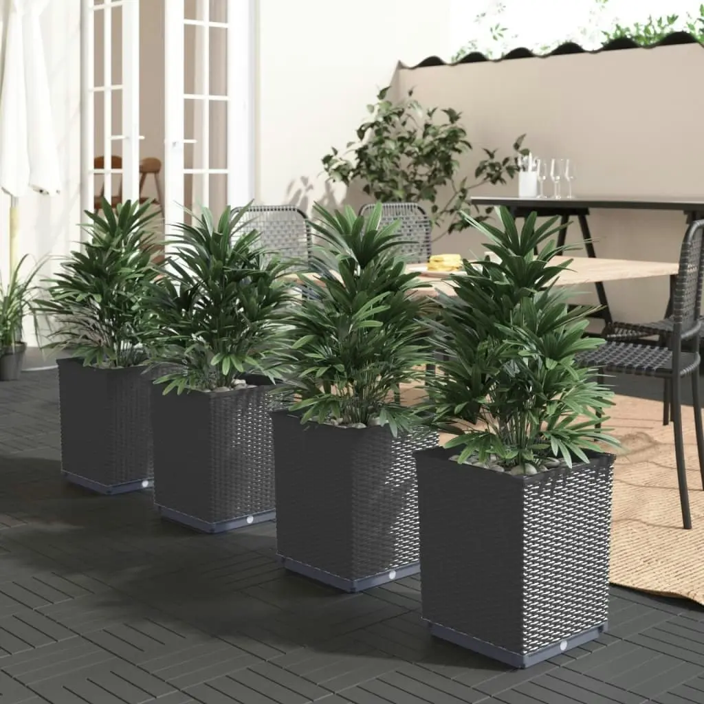 Planters 4 pcs Black 30x30x37 cm Polypropylene 364187