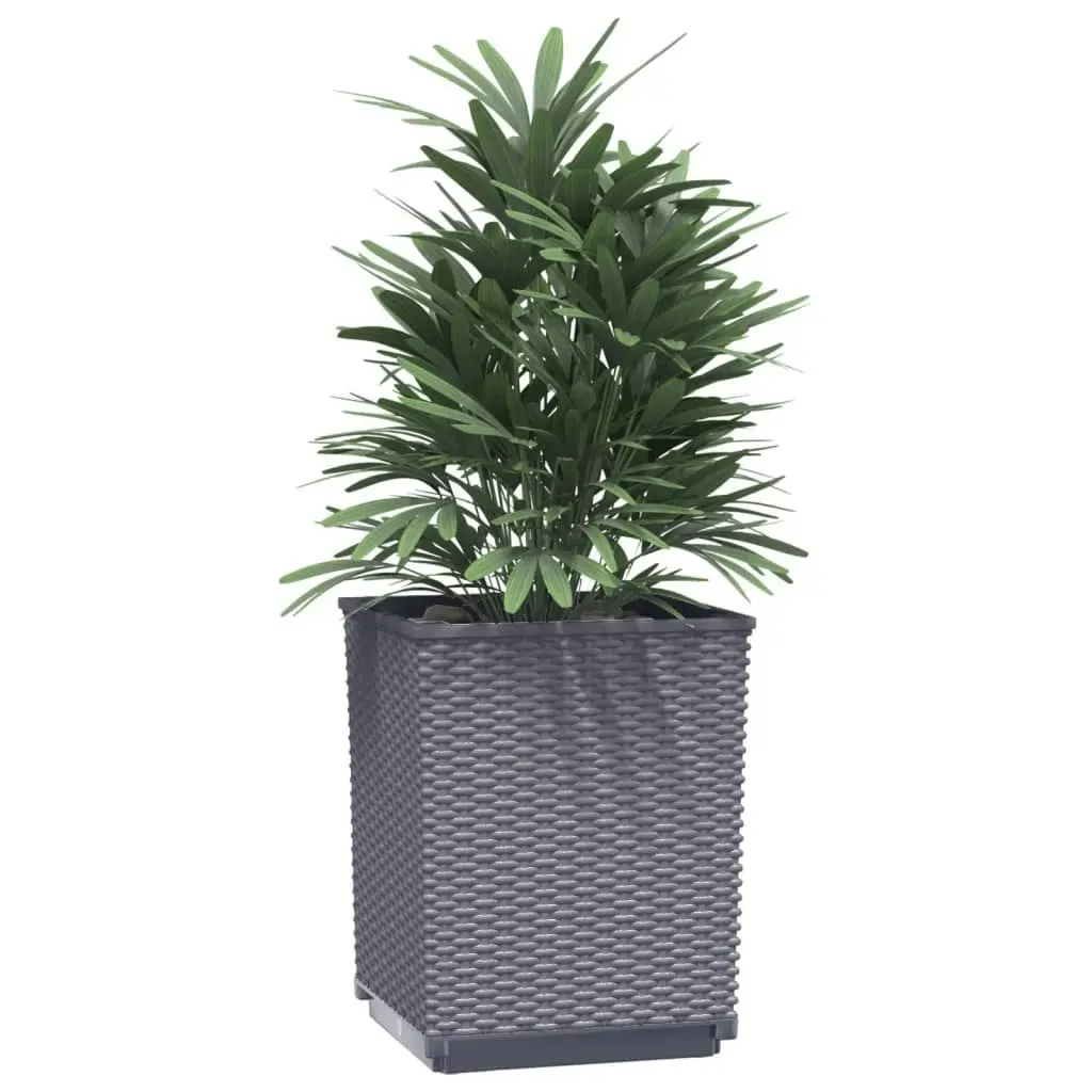 Planters 2 pcs Dark Grey 30x30x37 cm Polypropylene 364180