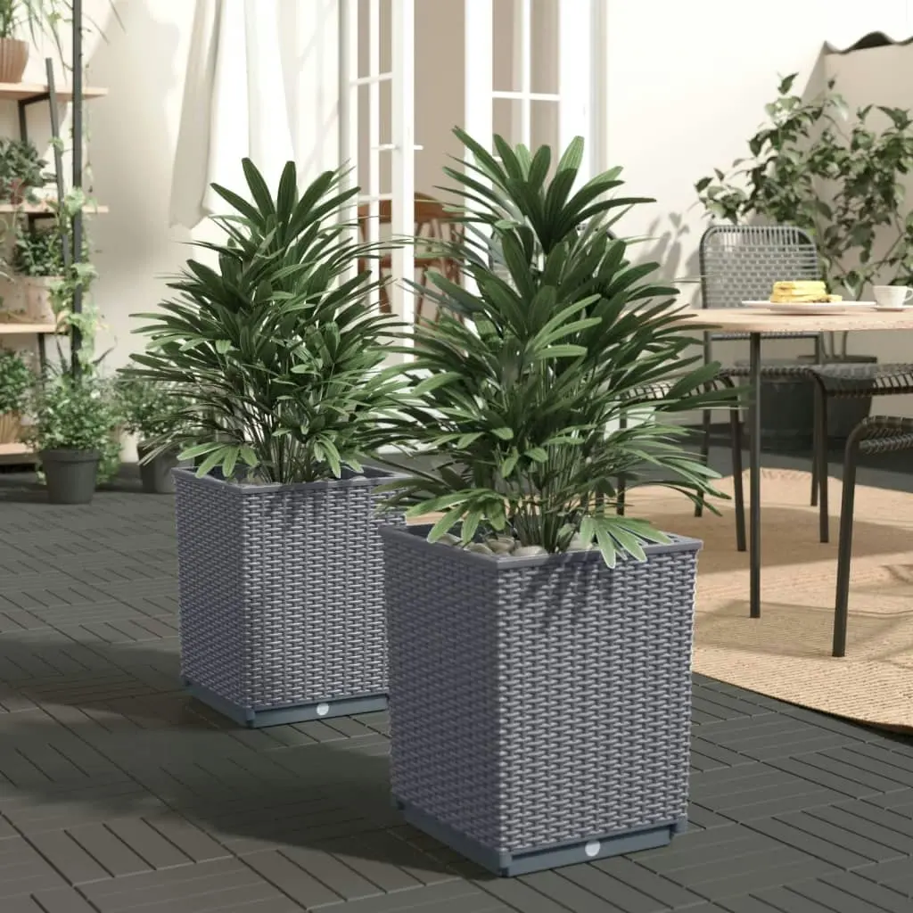 Planters 2 pcs Dark Grey 30x30x37 cm Polypropylene 364180