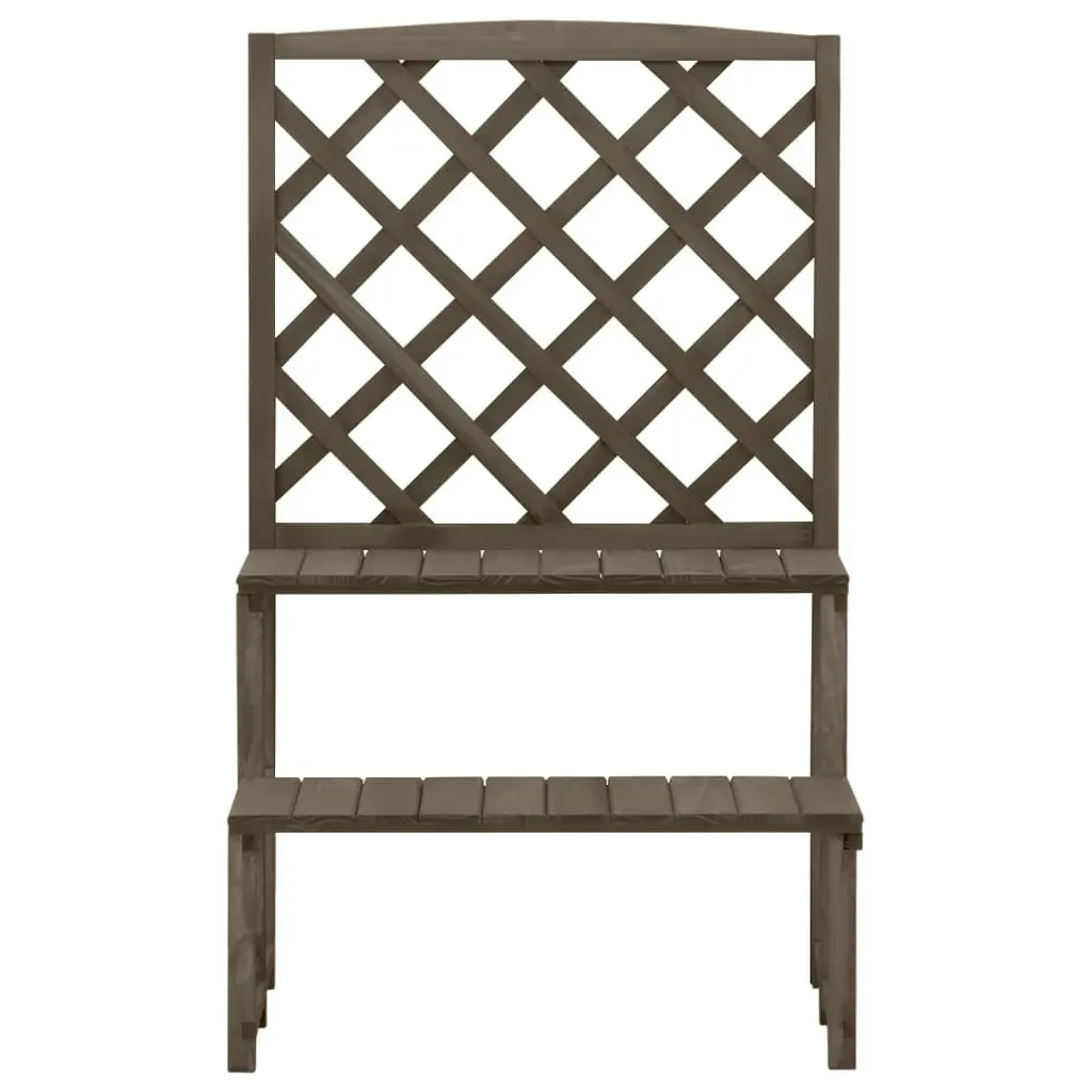 Plant Stand with Trellis Grey 70x42x115 cm Solid Fir Wood 316414