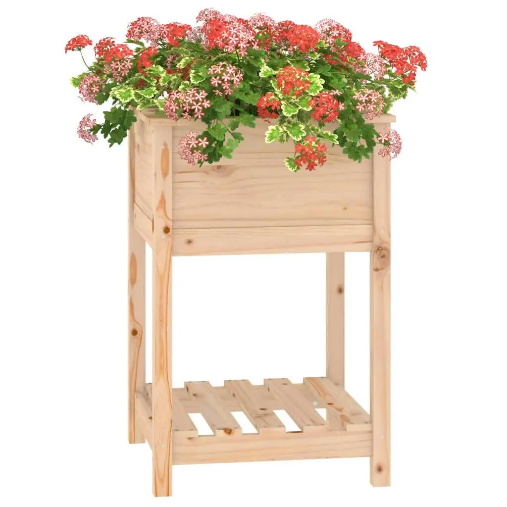 Planter with Shelf 54x54x81 cm Solid Wood Pine 823773