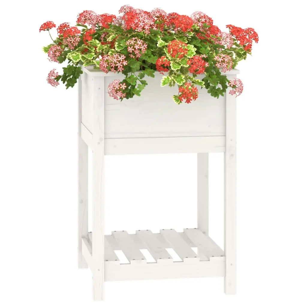 Planter with Shelf White 54x54x81 cm Solid Wood Pine 823774