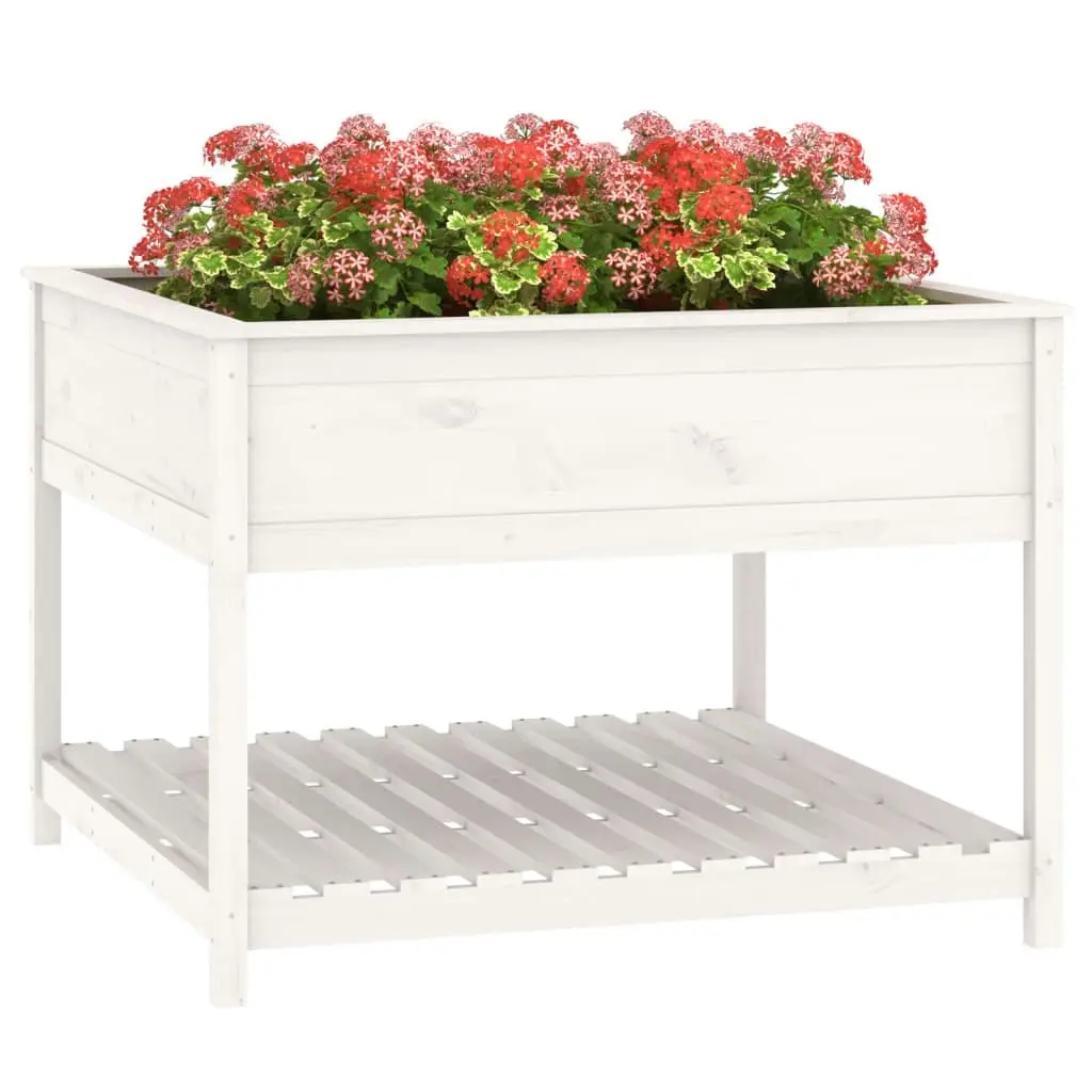 Planter with Shelf White 111.5x111.5x81 cm Solid Wood Pine 823802