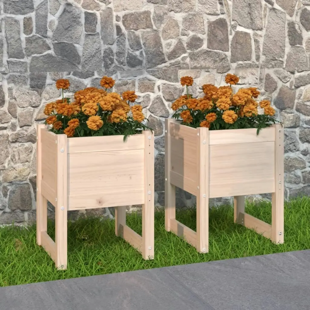 Planters 2 pcs 40x40x52.5 cm Solid Wood Pine 822108