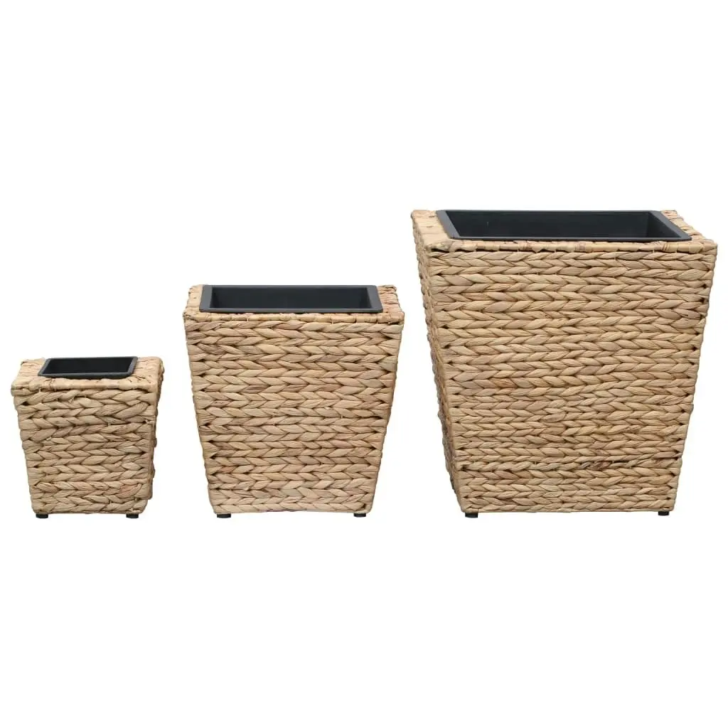 Raised Beds 3 pcs Water Hyacinth 45571