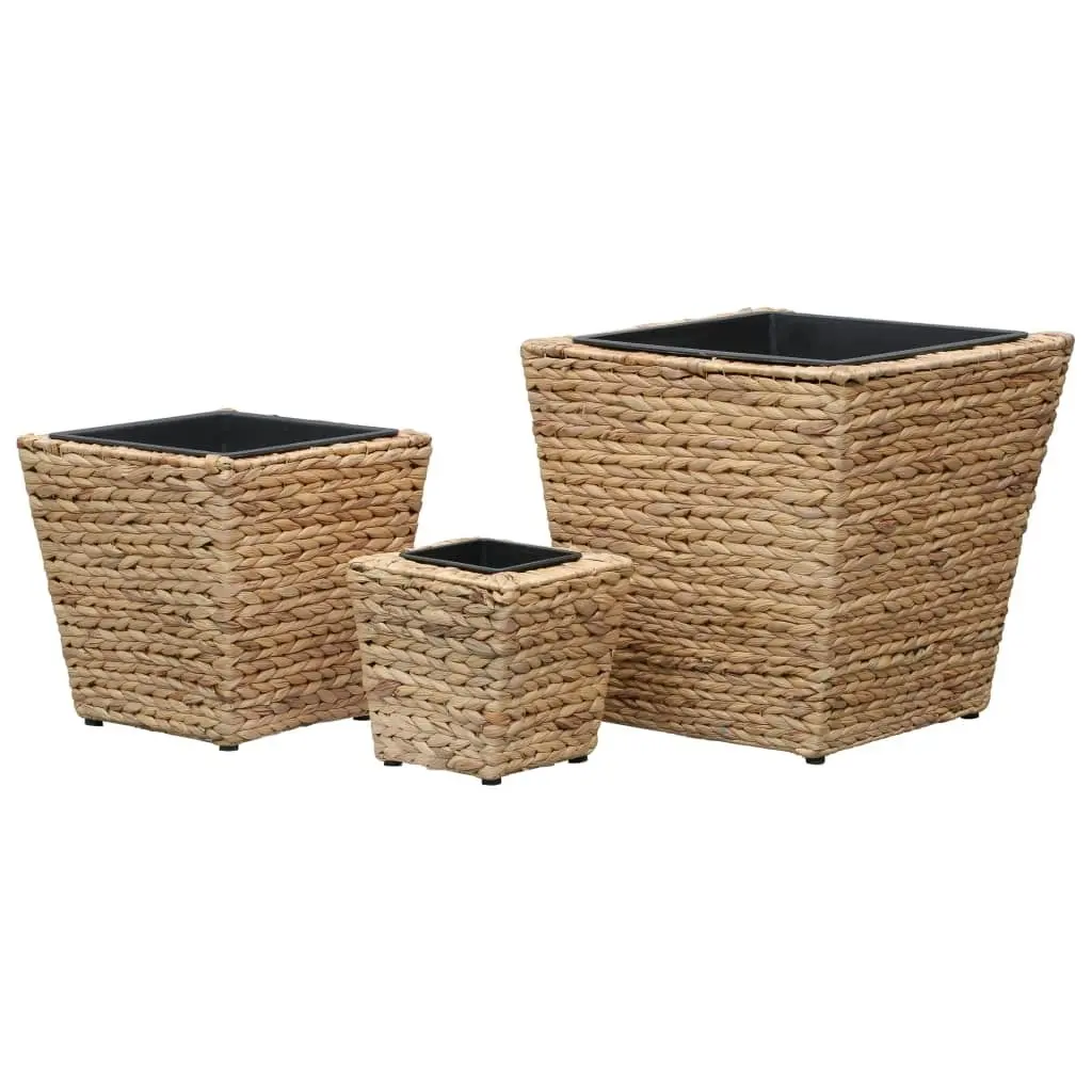 Raised Beds 3 pcs Water Hyacinth 45571