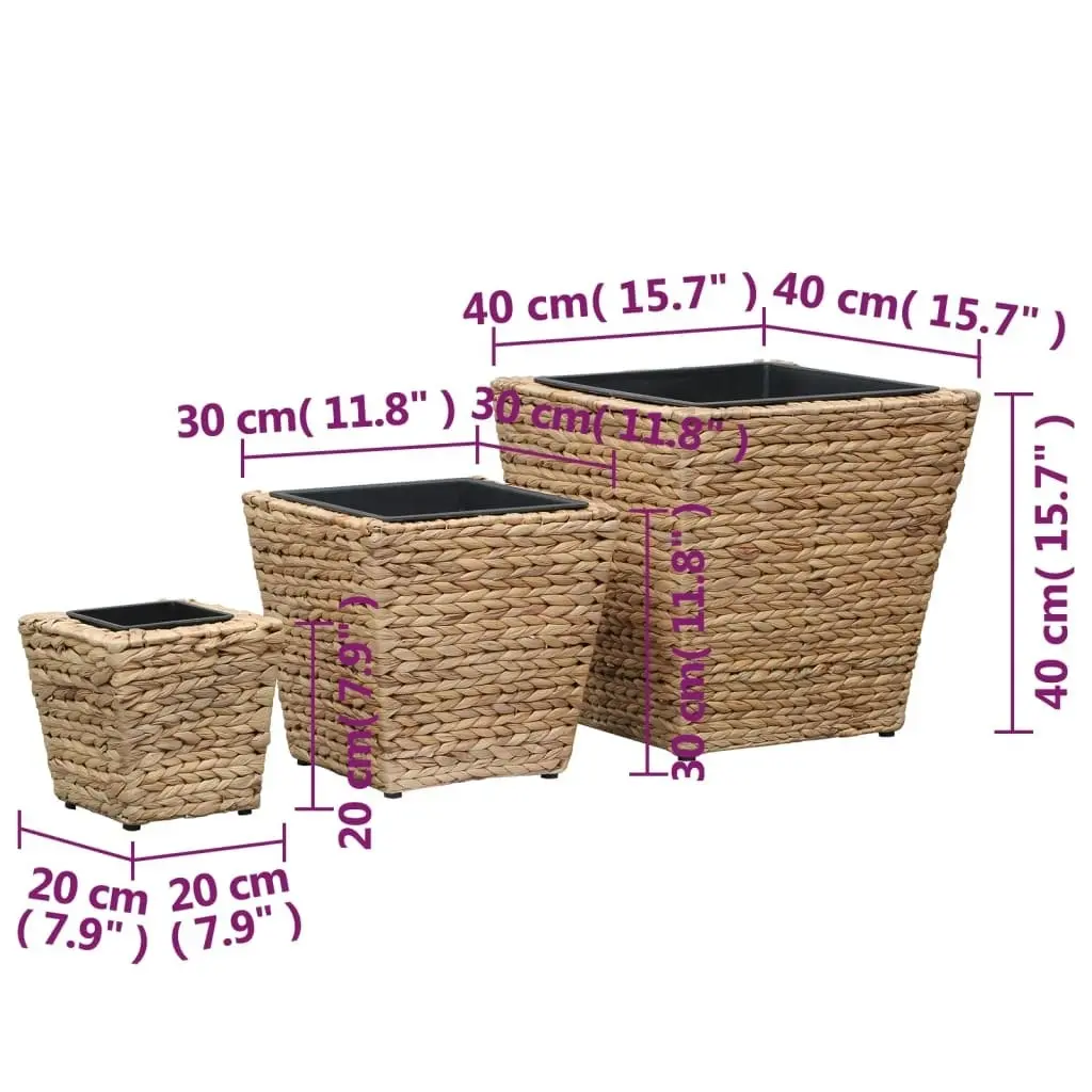 Raised Beds 3 pcs Water Hyacinth 45571