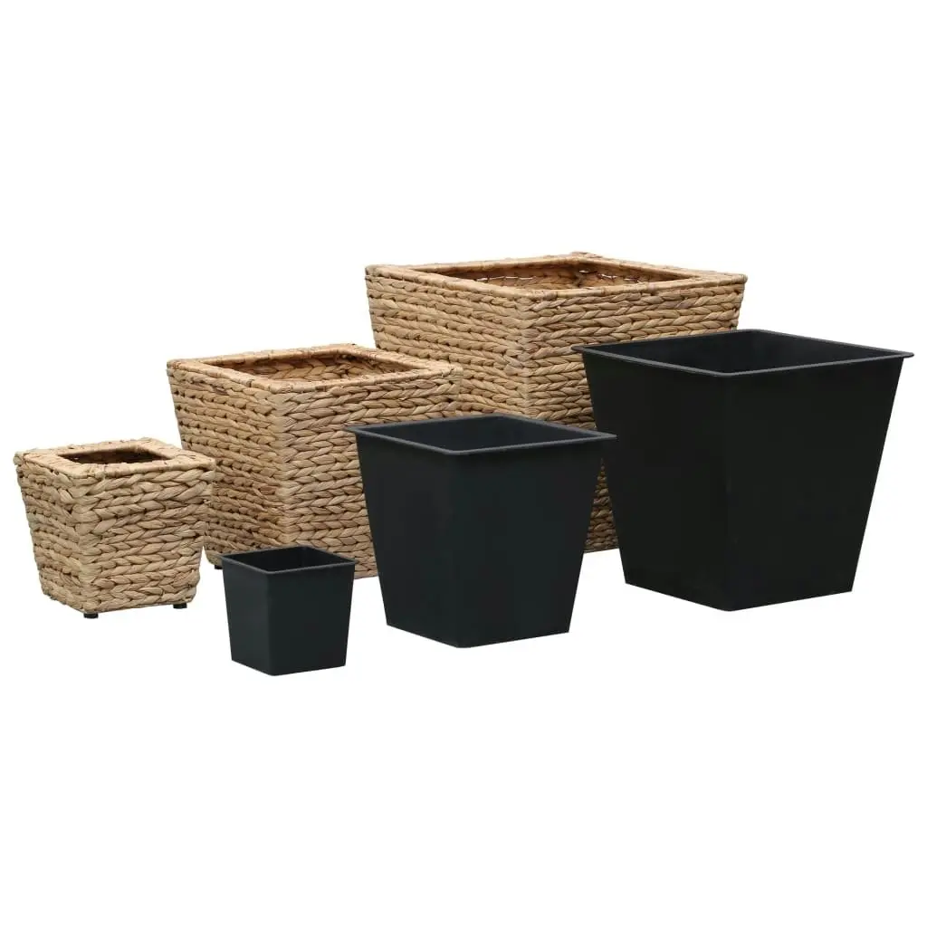 Raised Beds 3 pcs Water Hyacinth 45571