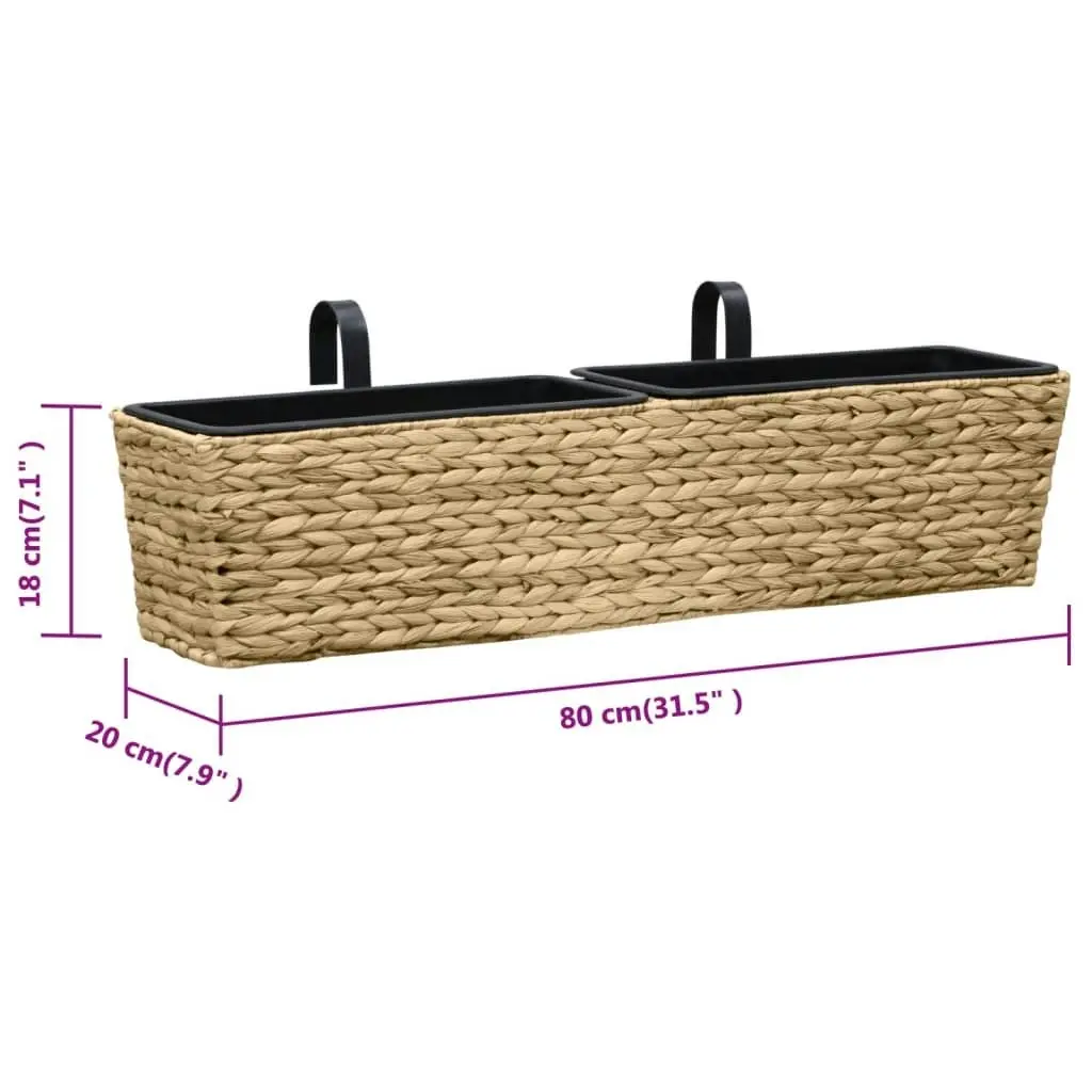 Planters 2 pcs Water Hyacinth 45580