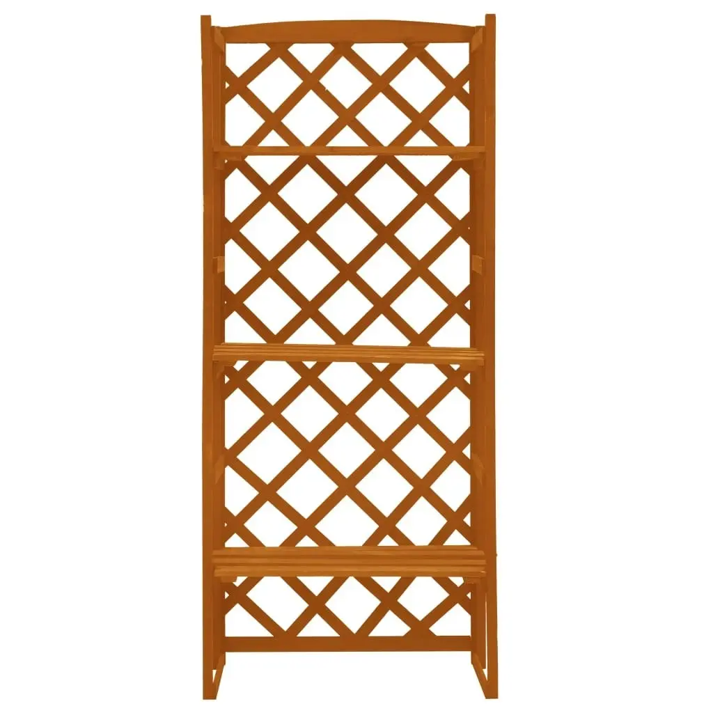 Plant Stand with Trellis Orange 60x30x140 cm Solid Firwood 314834