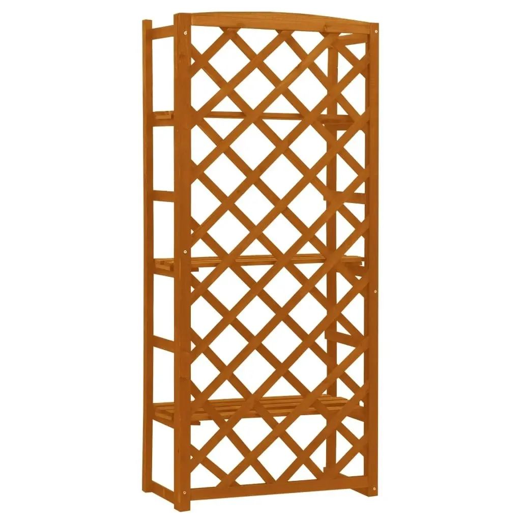 Plant Stand with Trellis Orange 60x30x140 cm Solid Firwood 314834