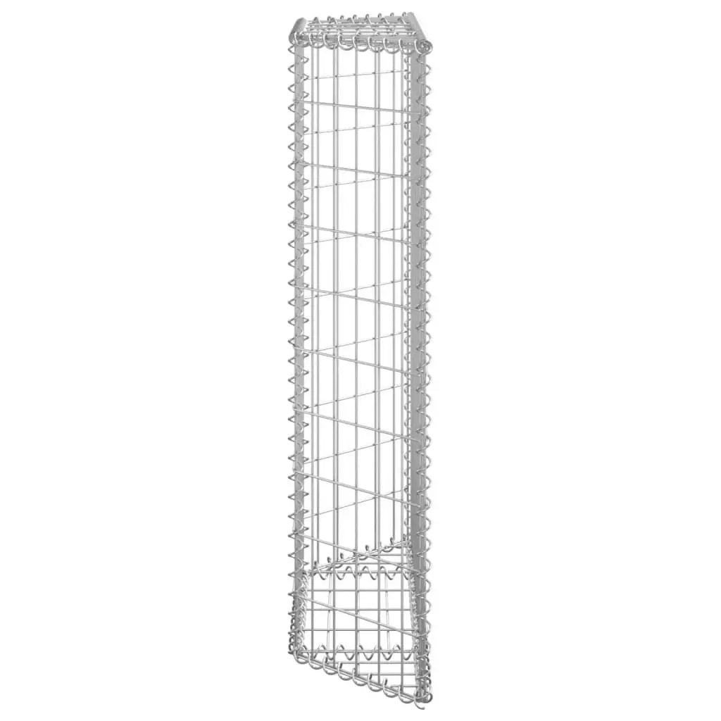 Trapezium Gabion Raised Bed Galvanised Steel 100x20x100 cm 145652