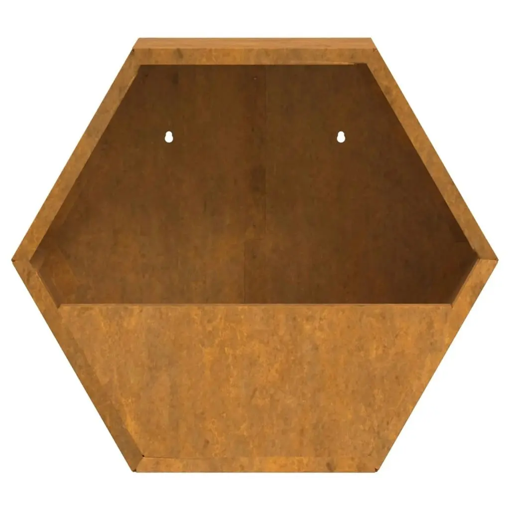 Wall Planters 2 pcs Rusty Corten Steel 30x10x25 cm 823684