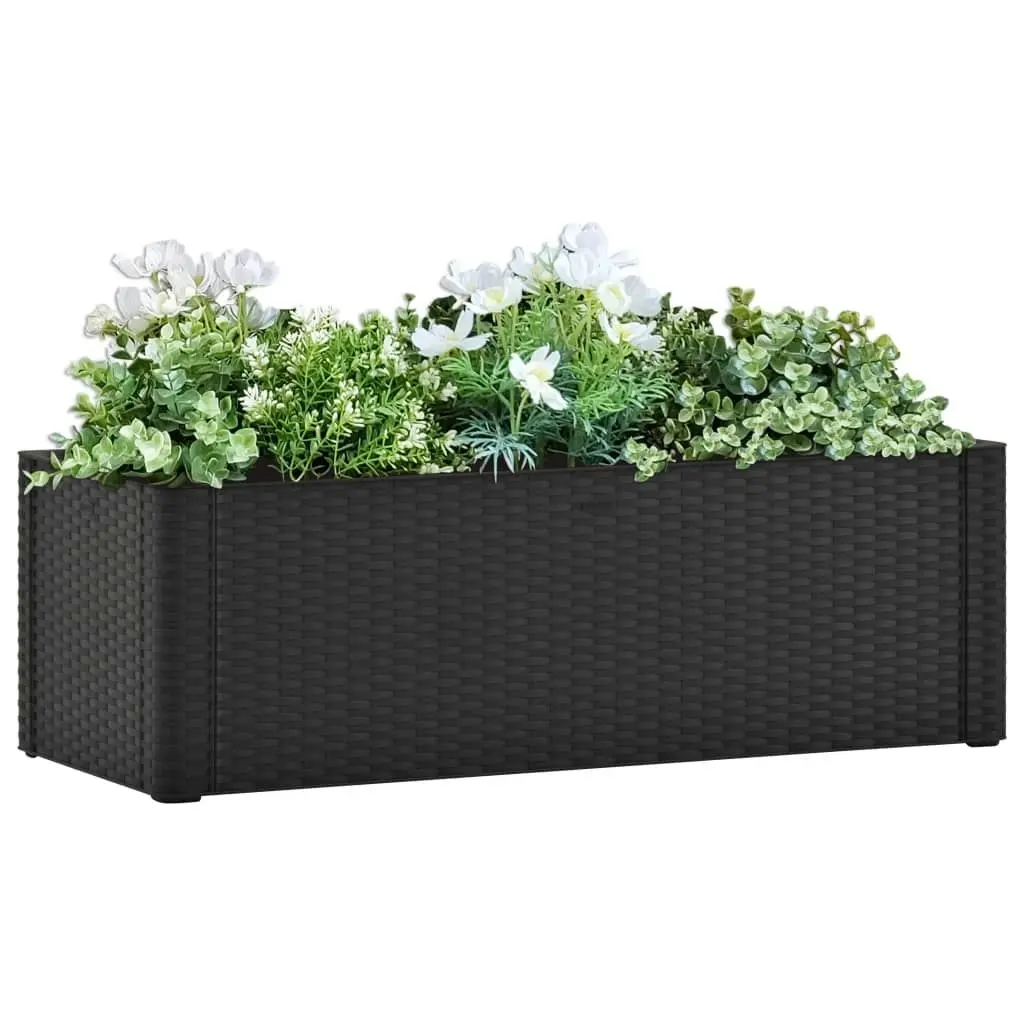 Garden Raised Bed with Self Watering System Anthracite 100x43x33 cm 313961