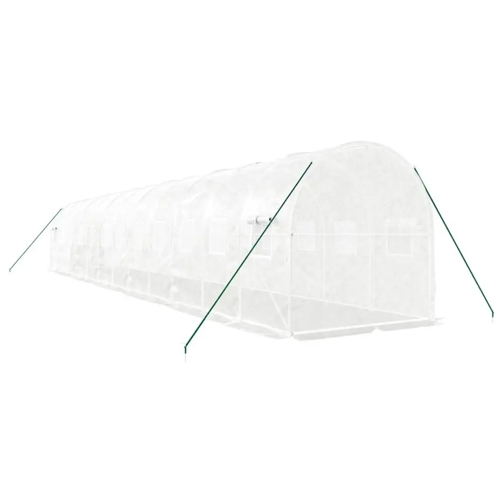 Greenhouse with Steel Frame White 24 mÂ² 12x2x2 m 3188032