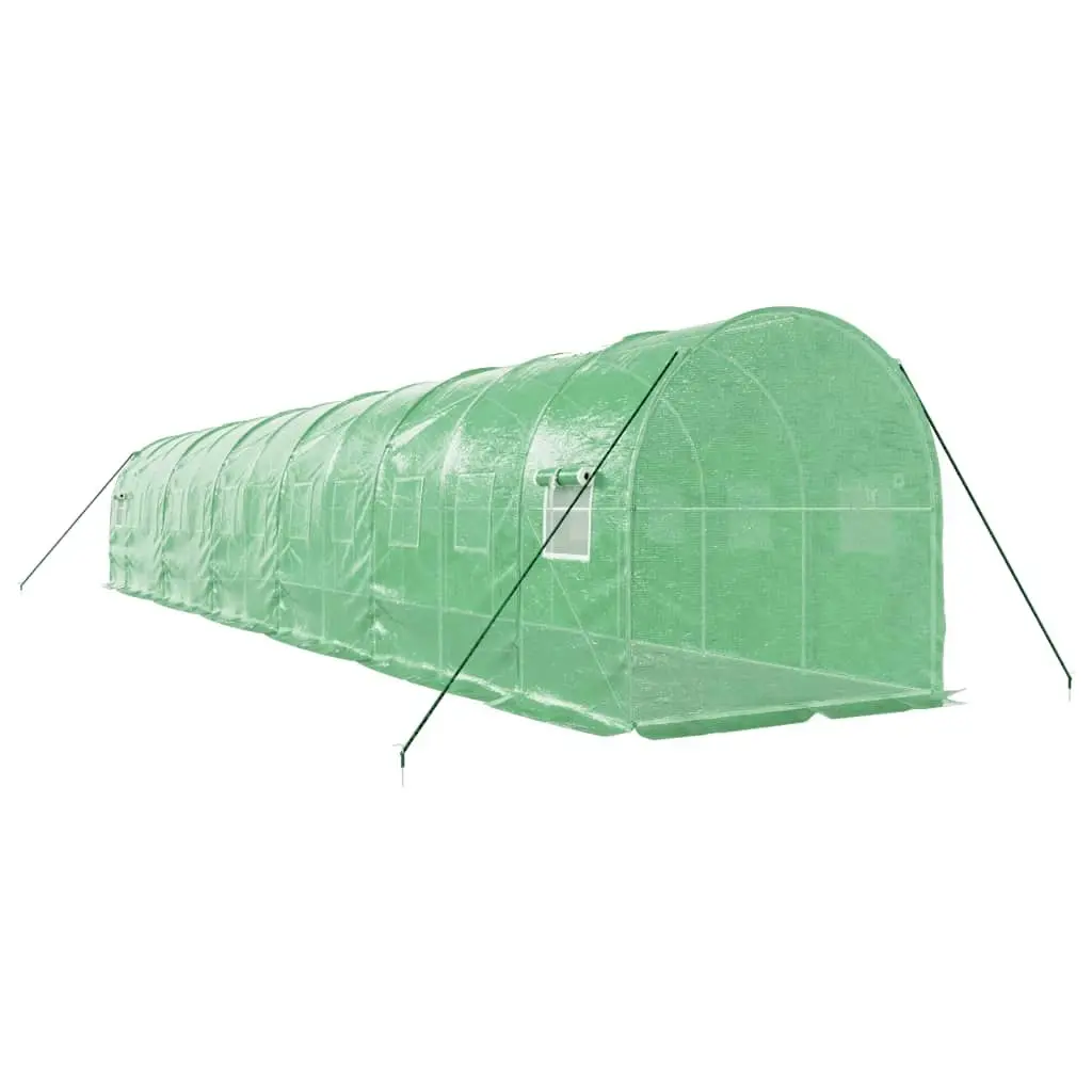 Greenhouse with Steel Frame Green 24 mÂ² 12x2x2 m 3188021