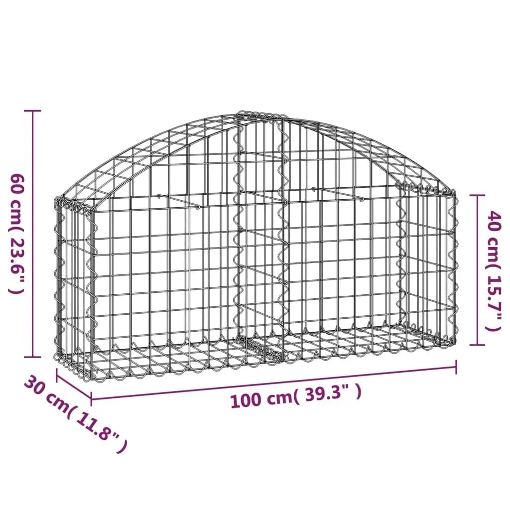 Arched Gabion Basket 100x30x40/60 cm Galvanised Iron 153422