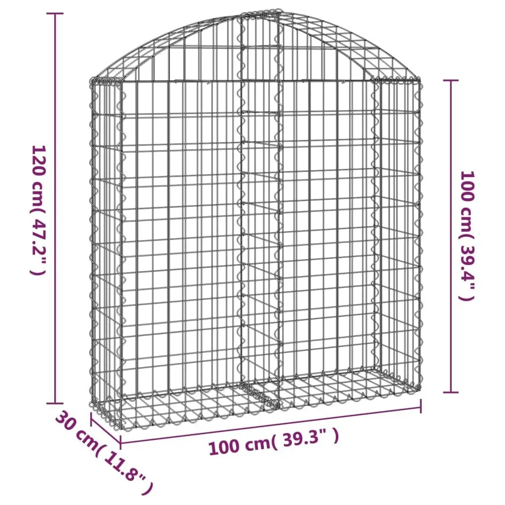 Arched Gabion Basket 100x30x100/120 cm Galvanised Iron 153425