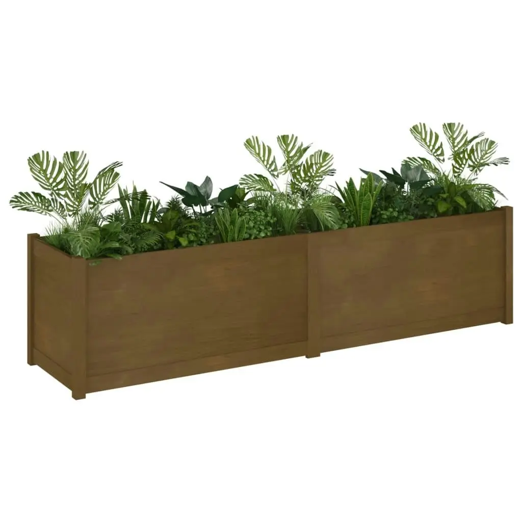 Garden Planter Honey Brown 200x50x50 cm Solid Wood Pine 810772