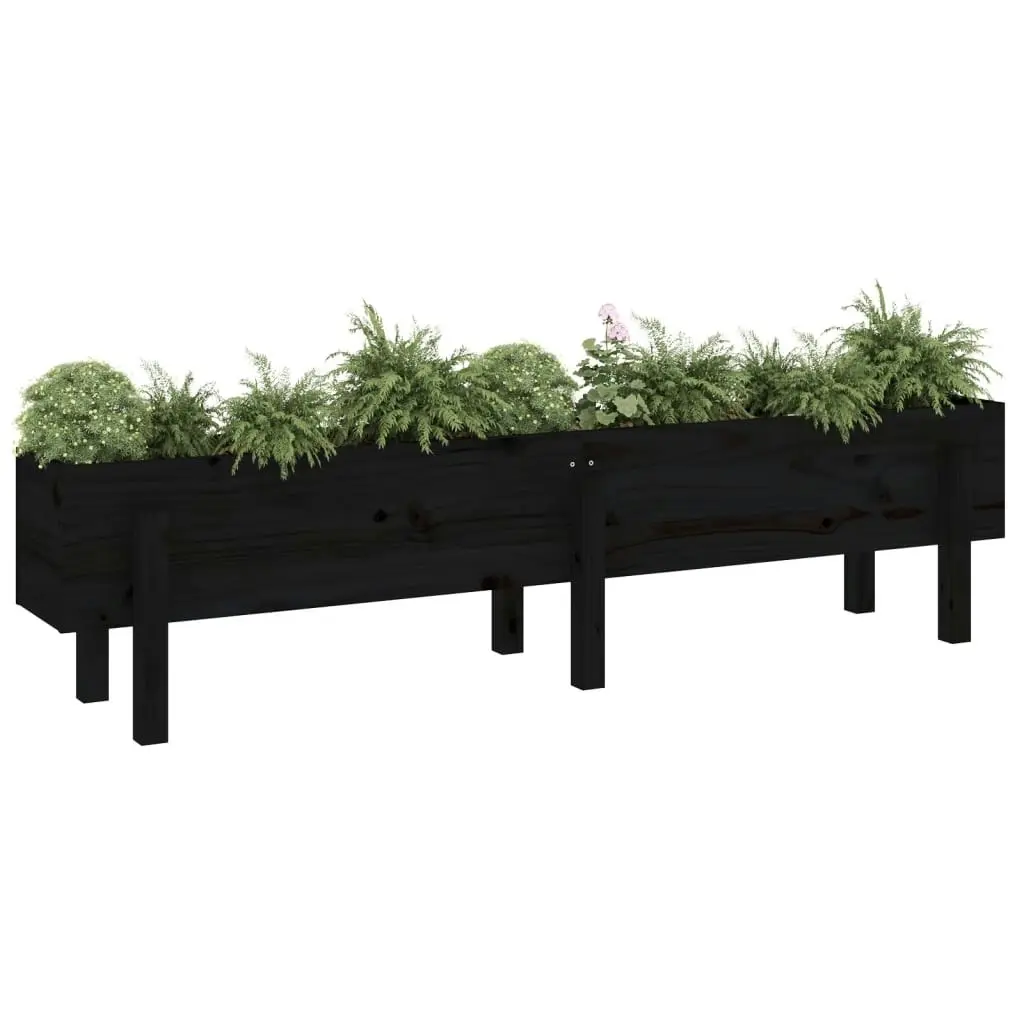 Garden Raised Bed Black 160x30x38 cm Solid Wood Pine 825195