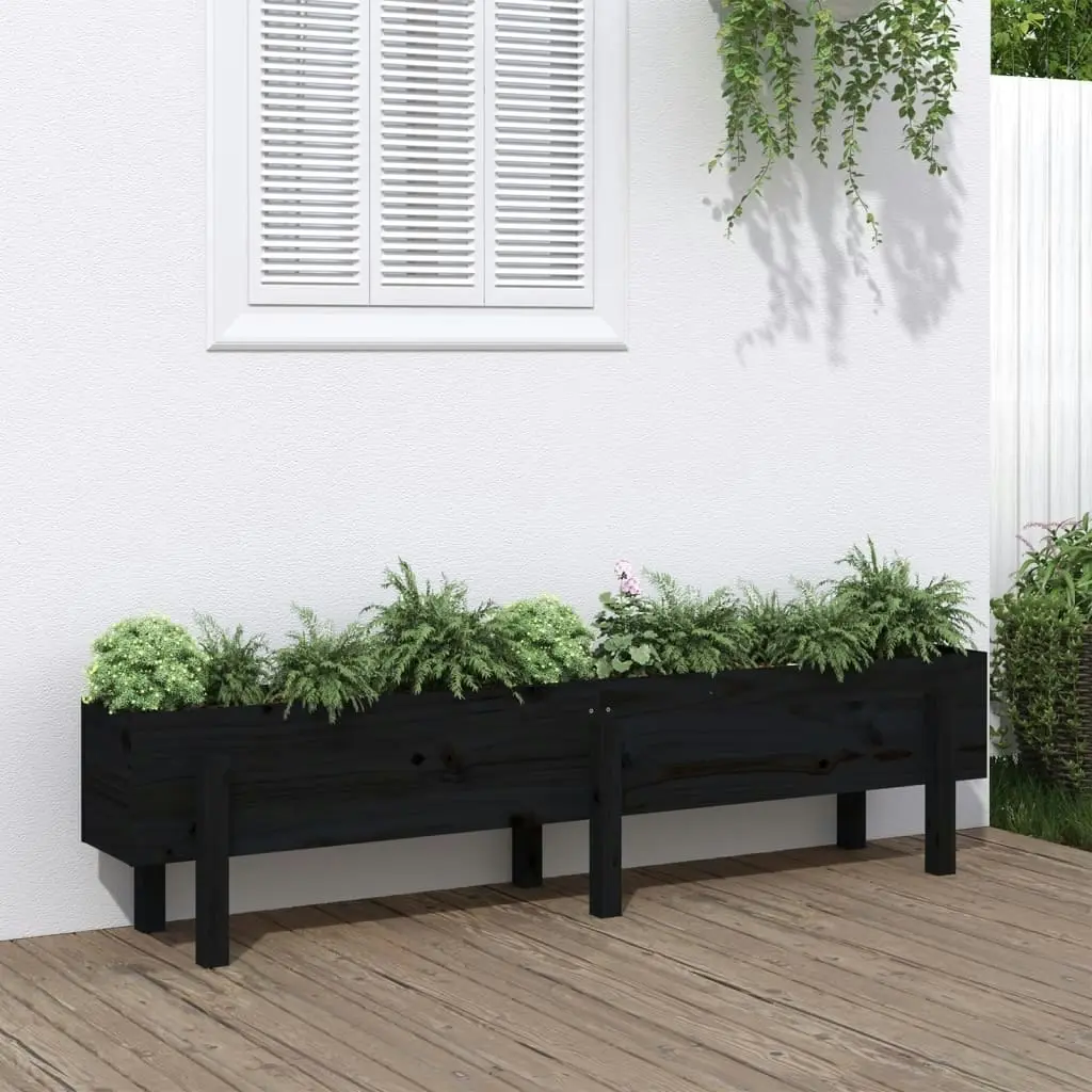 Garden Raised Bed Black 160x30x38 cm Solid Wood Pine 825195